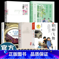 [全套5册]六年级下课外书必读 [正版]5册六年级下学期课外书课内作家作品必读黄蓓佳野蜂飞舞肖复兴重读那片绿绿的爬山虎小