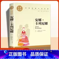 安娜.卡列尼娜 [正版]安娜卡列尼娜 名家名译世界经典文学名著 小学生三四五六年级快乐读书吧课外书必读老师阅读经典书目初
