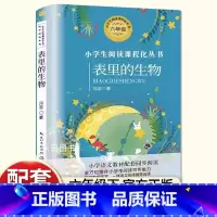 [ 六年级下]表里的生物 [正版]送考点手册汤姆索亚历险记原著快乐读书吧六年级下册课外书必读老师人教版鲁滨逊漂流记爱丽丝