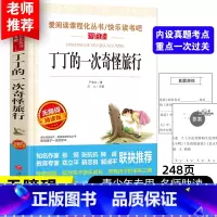 [任选4本30元]丁丁的一次奇怪旅行 [正版]严文井丁丁的一次奇怪旅行三四五六年级课外书必读老师原著爱阅读课程化丛书快乐