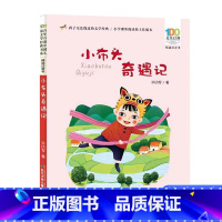 小布头奇遇记 [正版]长江少年儿童出版社孙幼军小布头奇遇记注音版小学一二年级课外书必读老师带拼音故事桥梁书百年百部中国儿