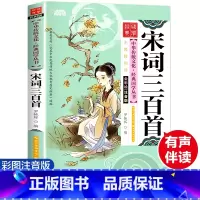 [正版]宋词三百首 彩图注音版 经典国学 中华传统文化经典国学丛书 全书138页