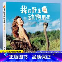 [五年级上]我的野生动物朋友 [正版]天地出版社水浒传五年级下册课外书必读老师国学经典名著小学爱阅读课程化丛书快乐读书吧