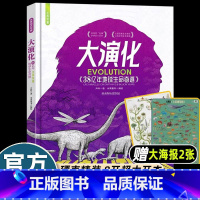 [硬壳精装]大演化 [正版]洋洋兔时间的礼物书画给孩子中国的世界文化遗产中华文明五千年历史千个知识点小学生四五六年级课外