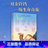 仰望星空的骆驼 [正版]仰望星空的骆驼 7-14岁 凯西阿贝特等著 纽伯瑞奖得主新作 一对金铃铛 一场生命奇旅