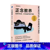 [正版]正念教养 如何不焦虑 不内耗地与孩子相处 徐莉等 著 5种正念养育思维 让你不伤害孩子也不伤害自己 亲子关系