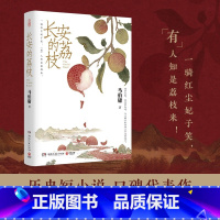 龙与地下铁 [正版]长安的荔枝 马伯庸著 看小人物的乱世生存之道 大医 两京十五日 长安十二时辰 显微镜的大名 古董局中