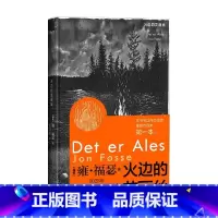 火边的艾丽丝 [正版]2023年诺贝尔文学奖得主作品 火边的艾丽丝 雍福瑟 著 外国文学