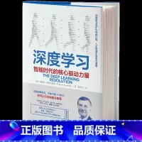 [正版]深度学习 智能时代的核心驱动力量 特伦斯谢诺夫斯基 著 AI人工智能机器 火爆的NIP 出版