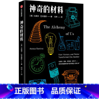 [正版]神奇的材料 艾妮莎拉米雷斯 著 科普 材料学 新材料 化学历史 人类学 科学乐趣 科学技术与社会进步