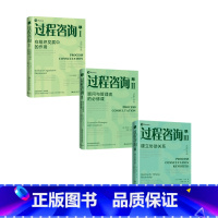 [正版]过程咨询套装3册 过程咨询Ⅰ组织发展中的作用过程咨询Ⅱ顾问与管理者的必修课过程咨询Ⅲ建立协助关系 埃德加沙因等