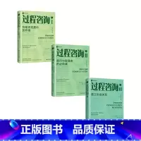 [正版]过程咨询套装3册 过程咨询Ⅰ组织发展中的作用过程咨询Ⅱ顾问与管理者的必修课过程咨询Ⅲ建立协助关系 埃德加沙因等