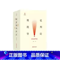 [正版]视觉批判导论 上下册 吴琼 著 绘画