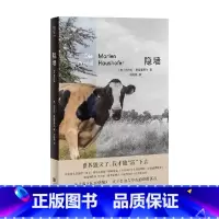 隐墙 [正版]隐墙 玛尔伦·豪斯霍费尔 著 小说