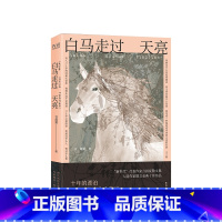 [正版]白马走过天亮 言叔夏著 现当代文学散文集小说书籍