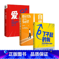[正版]了不起的我 自我发展的心理学+爱 需要学习+自我的诞生套装3册 陈海贤 武志红 著 励志