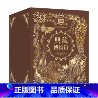 DK典藏博物馆(DK50周年特别纪念版)(全6册) [正版]7-15岁DK儿童大百科系列 dk博物大百科全书 DK时间线