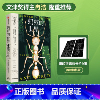 [正版]蚂蚁的世界 爱德华威尔逊著 赠炫酷印银蚂蚁卡片 冉浩 刘华杰 苗德岁 水哥王昱珩力荐 蚂蚁探险之旅