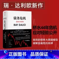 [正版]债务危机 瑞达利欧 RayDalio我的应对原则 原则应对变化中的世界秩序 债务危机达利欧 投资管理出版社图