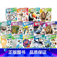 DK小科学馆·第二辑:一座可以随身携带的科学图书馆(共14册) [正版]5-12岁DK小科学馆 第二辑 一座可以随身携带