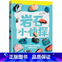 岩石小侦探(让孩子爱上户外探索的地质小百科) [正版]7-14岁岩石小侦探 让孩子爱上户外探索的地质小百科 丹格林著 地