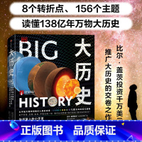 [正版] DK大历史 从宇宙大爆炸到我们人类的未来 大卫克里斯蒂安著 千幅信息图的视觉盛宴 一本书看见138亿年万物史
