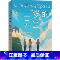 十二岁的天空 [正版]8-12岁十二岁的天空 2021年纽伯瑞儿童文学奖银奖 艾琳恩特拉德凯利著 2021纽伯瑞儿童文学