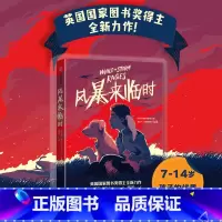 风暴来临时 [正版]风暴来临时 菲尔厄尔著 天空落幕时的读者新作重磅来袭 一个惊险刺激的拯救计划 见证人与动物的感人友谊