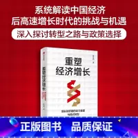 重塑经济增长:增长转折期的动力重塑与模式转型 [正版]重塑经济增长 增长转折期的动力重塑与模式转型 张立洲著 深入分析处