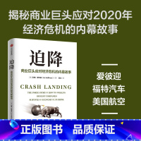 迫降:商业巨头应对经济危机的内幕故事 [正版]迫降 商业巨头应对经济危机的内幕故事 利兹 霍夫曼著 渴望在危机中生存的人