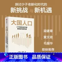 大国人口:少子老龄化时代的新挑战与新机遇 [正版]大国人口 少子老龄化时代的新挑战与新机遇 任泽平 白学松著 梁建章 黄