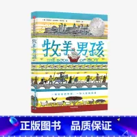[正版]7-14岁 牧羊男孩 凯瑟琳吉尔伯特默多克 著 儿童文学成长小说 悬疑冒险幽默小说 纽伯瑞奖获奖作品及10项