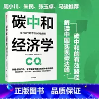 [正版]碳中和经济学中金公司研究部著 朱民张玉卓马骏黄朝晖 翔实解读中国实现碳达峰碳中和的有效路径与具体措施