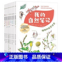 全9册 [正版]我的自然笔记全9册文津图书奖得主芮东莉自然探索科普绘本7-8-9-10-11-12-13-14岁幼儿童科