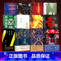 无凶之夜[定制版] [正版]日系推理 东野圭吾 小林泰三 雫井脩介 告白 邻居 人性惊悚 推理之作 悬疑推理小说人性日本