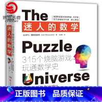 [正版]博集天卷迷人的数学2021新版 一本有故事的数学游戏书国际著名智力游戏专家的权威之作315个烧脑游戏呈现数学之