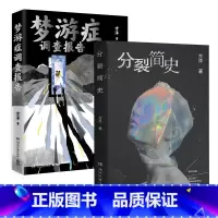 [正版]分裂简史+梦游症调查报告(套装2册)方洋著 带你触摸这个世界细思极恐的一面 疯子眼中的世界 脑洞故事 博
