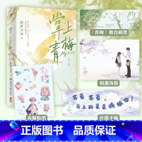 [正版]随书附赠多种赠品掌上青梅(全二册)晋江原创人气文学 热卖书作家藤萝为枝校园成长代表作 青春文学 书籍