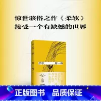 [正版]博集天卷柔软 琥珀 廖一梅 著 悲观主义三部曲之一 恋爱的犀牛 琥珀 孟京辉 袁泉 刘烨 爱情故事话剧剧本戏剧