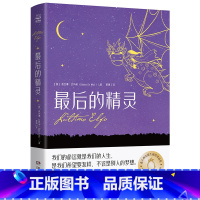 最后的精灵 [正版]博集天卷后的精灵 意大利安徒生儿童文学奇幻温情治愈小说 外国现当代文学小说书籍 小学课外阅读书籍 童
