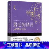 最后的精灵 [正版]博集天卷后的精灵 意大利安徒生儿童文学奇幻温情治愈小说 外国现当代文学小说书籍 小学课外阅读书籍 童