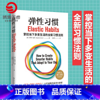 [正版]弹性习惯 微习惯作者斯蒂芬盖斯 2021年全新力作 打破传统思维掌握当下 商业成功励志人生自我管理励志书籍