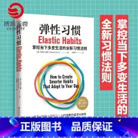 [正版]弹性习惯 微习惯作者斯蒂芬盖斯 2021年全新力作 打破传统思维掌握当下 商业成功励志人生自我管理励志书籍