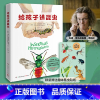 第一册 [正版]给孩子讲昆虫 安妮·斯韦德鲁普蒂格松(Anne Sverdrup-Thygeson)罗心宇译 昆虫绘本