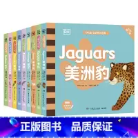 DK幼儿动物小百科 双语版 第二辑(全9册) [正版]DK幼儿动物小百科 双语版 第二辑(全9册)专为0—6岁宝宝创作,