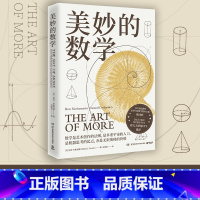[正版]博集天卷美妙的数学 迈克布鲁克斯 一部诗意感性的数学史 教师钱守旺 数学up主佟大大科普读物数学史美丽的数学热
