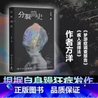[正版]分裂简史 方洋著 根据亲身经历书写 一部荒诞而真实的精神病患者手记 博集天卷