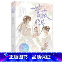 蔷薇信号[飞机盒] [正版]出版社图书清仓中南天使爱格青春言情散文随笔文学图书系列 校园小说都市言情霸道总裁古风穿越甜文