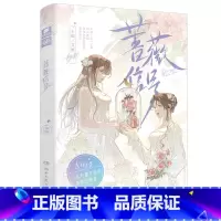 蔷薇信号[飞机盒] [正版]出版社图书清仓中南天使爱格青春言情散文随笔文学图书系列 校园小说都市言情霸道总裁古风穿越甜文