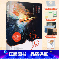 [正版]微焰 收录林稚子20篇BE美学短篇小说集 我的雨水我的峡谷玻璃之森烟火碎片海棠蚀 青春文学